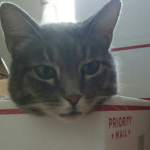 Meet your Poshers, Rhonda and Randy - Picture 4 of 4